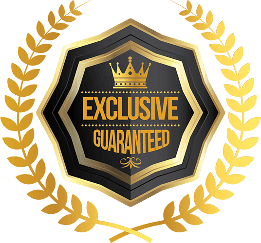 Award Warranty Badges illustrator png