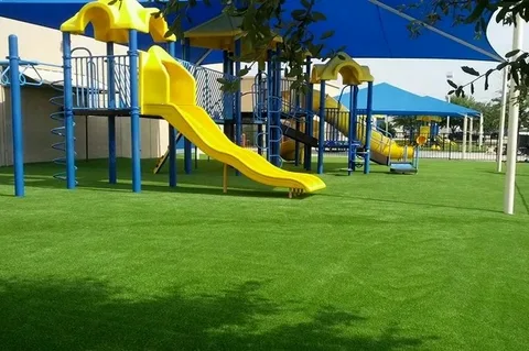 Playground grass